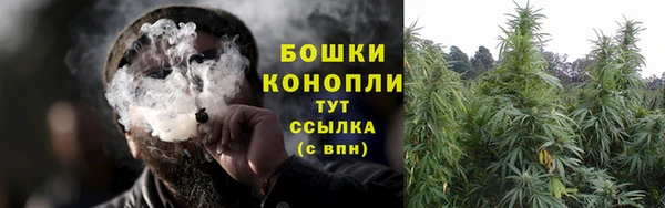 трава Алзамай