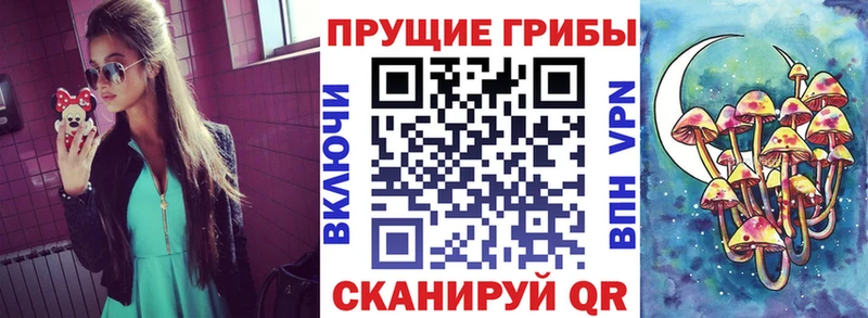 Галлюциногенные грибы Cubensis  Николаевск-на-Амуре 
